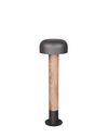 Borne extérieure FRASER TrioLighting anthracite bois – lumière 360° IP54