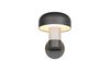 Applique extérieure FRASER TrioLighting anthracite béton – lumière 360° IP54