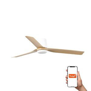 Ventilateur de plafond PUNT TUB – Silencieux, connecté et performant