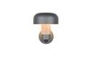 Applique extérieure FRASER TrioLighting anthracite bois – lumière 360° IP54