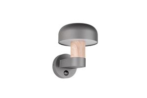 Applique extérieure FRASER TrioLighting anthracite bois – lumière 360° IP54