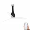 ETERFAN M – Ventilateur de plafond noir mat connecté Wiz Smart