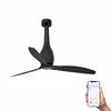 ETERFAN M – Ventilateur plafond connecté WiZ noir mat