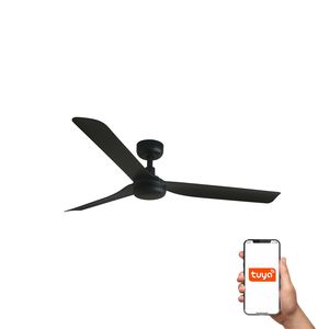 Ventilateur de Plafond PUNT noir - Contrôle Tuya Smart