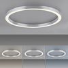 Anneau rond LED finition Aluminium avec télécommande
