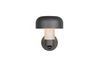 Applique extérieure FRASER TrioLighting anthracite beton – lumière 360° IP54