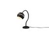 Lampe FLETCHER noir mat boule sur flexible de Triolighting