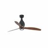 MINI ETERFAN – Ventilateur de Plafond noir mat au Design Contemporain