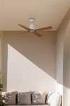 Ventilateur de Plafond TYPHOON – Élégance, Silence et connecté