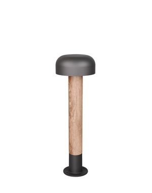 Borne extérieure FRASER TrioLighting anthracite bois – lumière 360° IP54