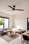 Ventilateur de Plafond PUNT noir/noyer avec Éclairage LED – Silence, Économie et Confort Toute l’Année