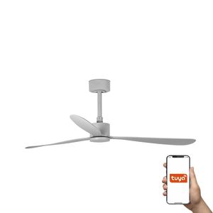 AMELIA ventilateur plafond design gris – connecté TUYA, télécommande, 6 vitesses, pour pièces 17–28 m²