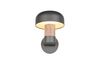 Applique extérieure FRASER TrioLighting anthracite bois – lumière 360° IP54