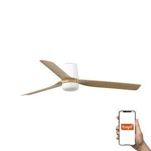 Ventilateur de plafond PUNT TUB – Silencieux, connecté et lumineux