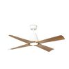 Ventilateur de Plafond TYPHOON – Élégance, lumineux et connecté