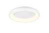 Plafonnier LED Trio Cardona 649616031 - 38 W dimmable - blanc mat