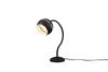 Lampe FLETCHER noir mat boule sur flexible de Triolighting