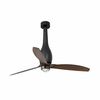 ETERFAN M – Ventilateur plafond noir mat avec LED 16W et pales en noir mat