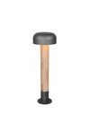 Borne extérieure FRASER TrioLighting anthracite bois – lumière 360° IP54