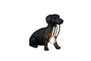 Lampe de table TRIO R56601002 Rudi Dog noir – un compagnon lumineux et déco