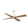 Ventilateur de Plafond TYPHOON – Élégance, Silence et Efficacité en Toute Saison