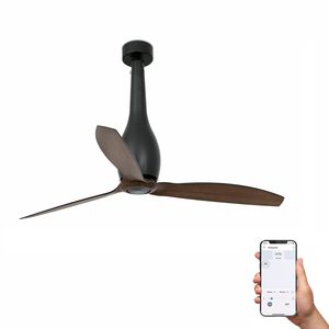 ETERFAN M – Ventilateur plafond connecté WiZ noir mat et pales imitation noyer