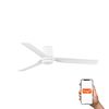 Ventilateur de plafond PUNT TUB – Silencieux, connecté et performant