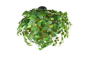 Plafonnier LEAVY Noir Mat Feuilles Vertes 3 Lumières E14 - R60463015