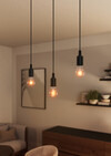 OSRAM/LEDVANCE Vintage 1906 Ampoule LED E27 5.9 W 2700 K Dimmable