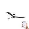 Ventilateur de plafond CRUISER XL noir connecté WIZ télécommande et Led